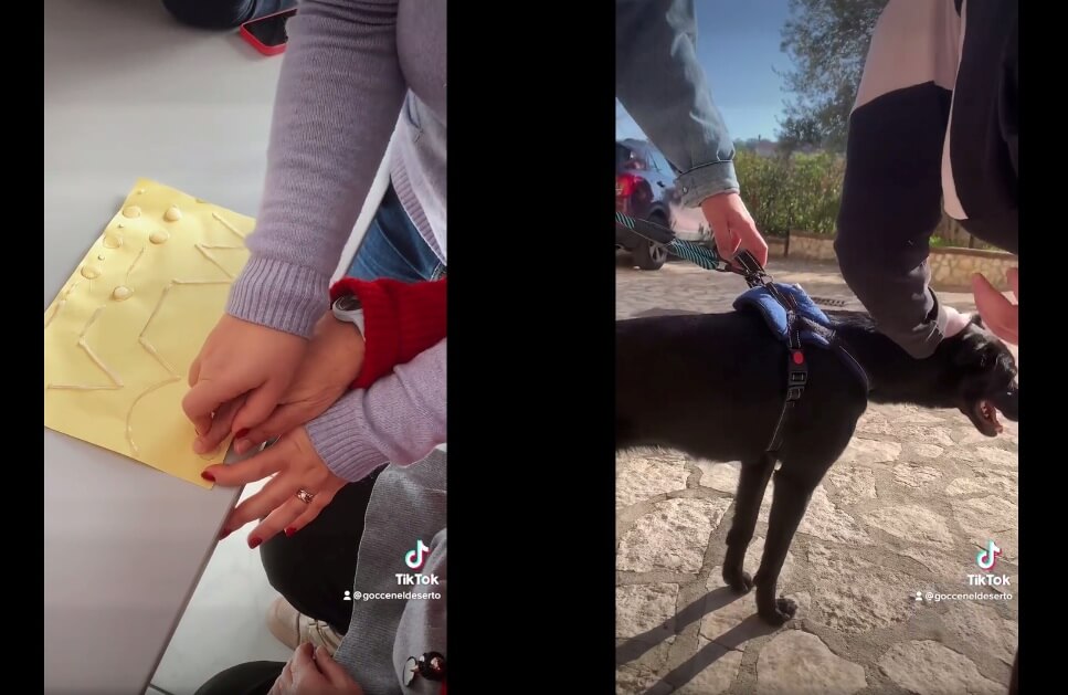 World Braille Day - gocce nel deserto